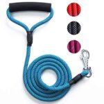 Durable Nylon Dog Leash - Strong and Reliable Pet Control