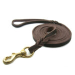 Top-Grade Dog Leash for Secure and Delightful Strolls