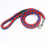 Rugged Nylon Dog Leash for Effective Canine Control