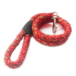Robust Nylon Dog Leash for Reliable Canine Management