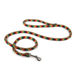 Robust Nylon Leash for Dogs: Maximum Control and Durability