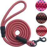 Durable Long Nylon Dog Leash for Maximum Control and Safety